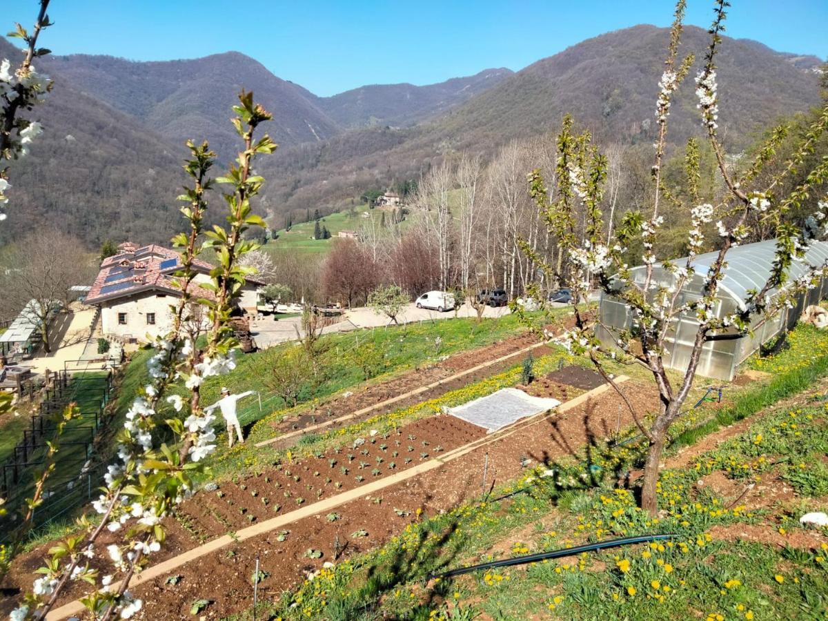 Agriturismo Ca' Fenile Alzano Lombardo Exteriör bild