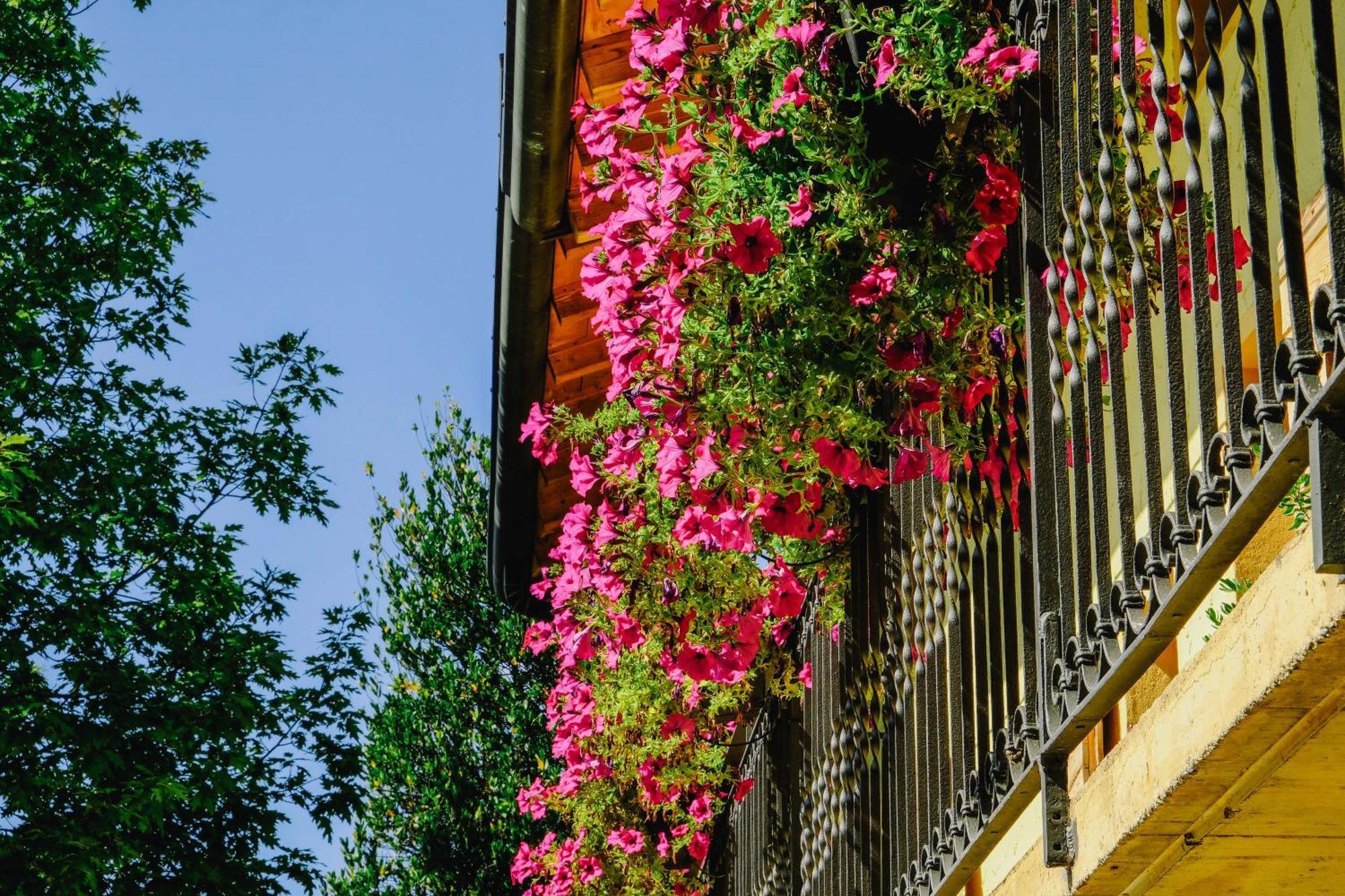 Agriturismo Ca' Fenile Alzano Lombardo Exteriör bild